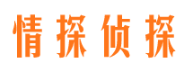 丹寨找人公司